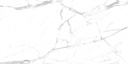 Carrara Terrific Silver Керамогранит белый 60х120 Матовый Carrara Terrific Silver Керамогранит белый 60х120 Матовый
