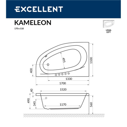 Ванна EXCELLENT Kameleon 170x110 (левая) "ULTRA" (золото) Ванна EXCELLENT Kameleon 170x110 (левая) "ULTRA" (золото)
