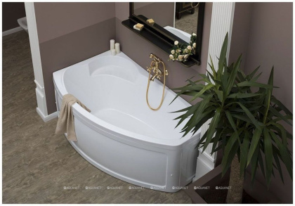 Акриловая ванна Aquanet Sofia 170x90 L Акриловая ванна Aquanet Sofia 170x90 L