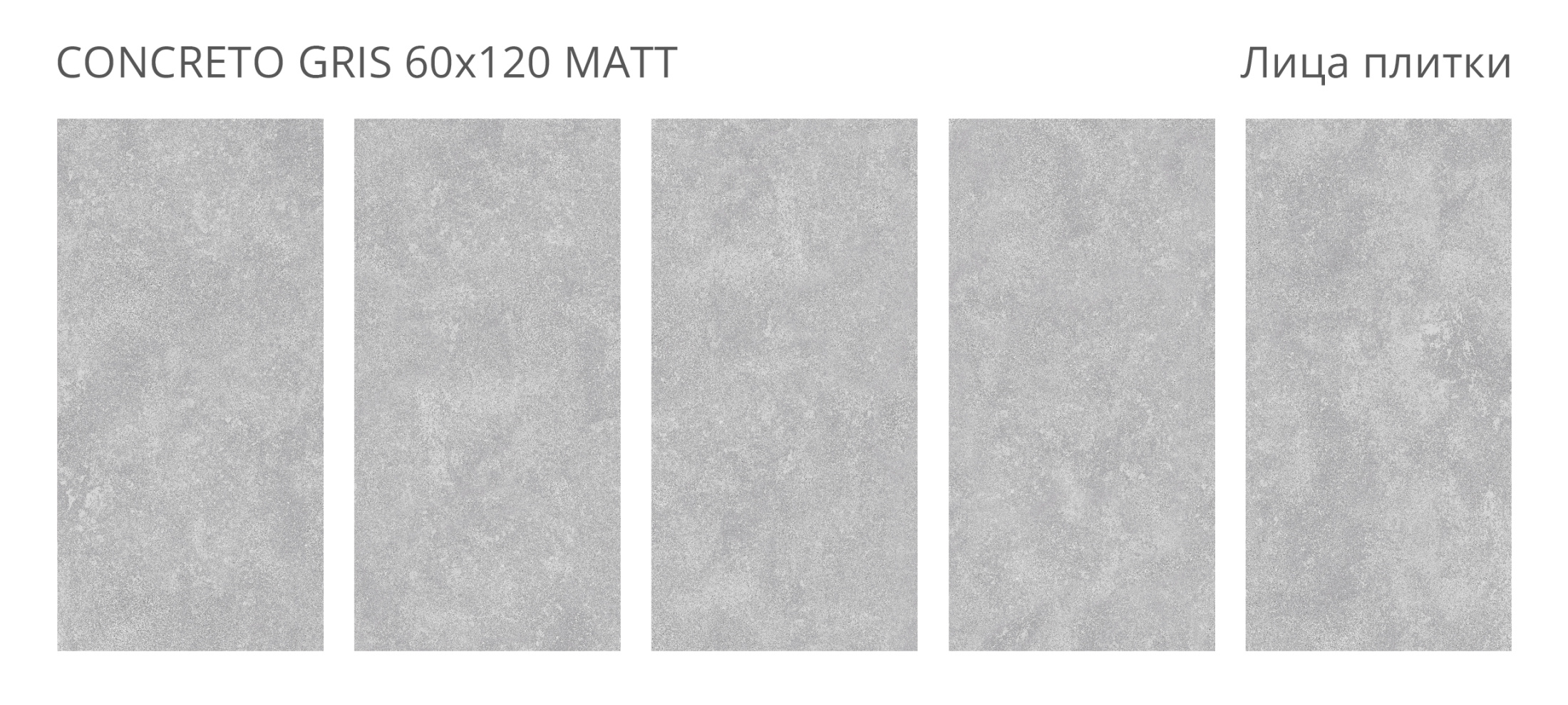 Керамогранит Concreto Gris 60х120 Matt (2 шт.в уп)