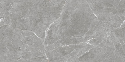 Stone Cool Grey Керамогранит серый 60х120 Матовый