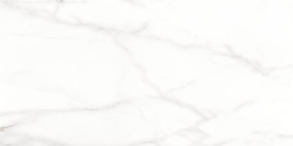 6260-0080-1001 Плитка грес глаз. Каррара Нова_LB Бел. 60,3*30 _ 1 \46,08