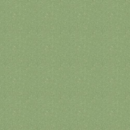 Линолеум Tempo Plus 1009