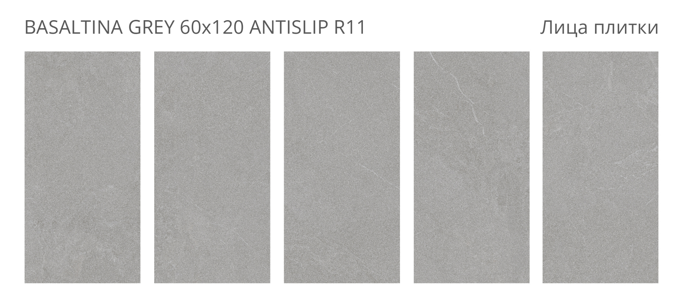 Керамогранит Basaltina Grey 60х120 Antislip (2 шт.в уп)