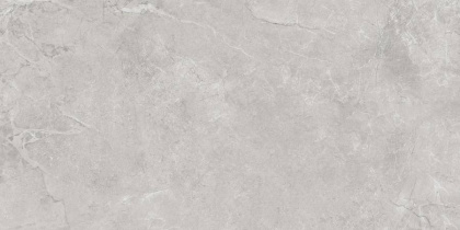 Pluto Silver Керамогранит светло-серый SG50005220R 60х119,5 матовый