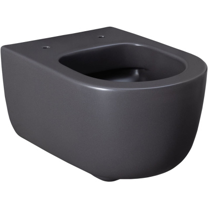 Чаша подвесного унитаза Allen Brau Priority 4.31002.AN антрацит