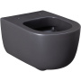 Чаша подвесного унитаза Allen Brau Priority 4.31002.AN антрацит