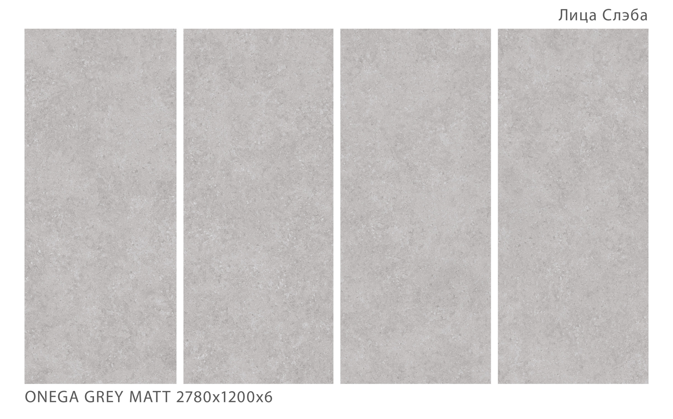 Керамогранит ONEGA GREY 2780х1200х6мм XYLOTECH Matt