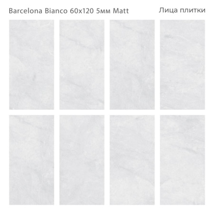 Керамогранит матовый BARCELONA BIANCO 60x120 5мм MATT, Marbles