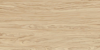 Керамогранит SG565200R Олива бежевый обрезной 60*119.5*11 (2шт\1.434м2), м2 Керамогранит SG565200R Олива бежевый обрезной 60*119.5*11 (2шт\1.434м2), м2