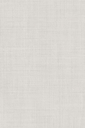 Спинелли серый светлый матовый 20x30x0,69