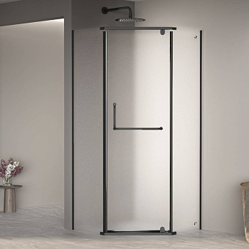Душевой уголок 120*120*195 RGW PA-081 B Трапеция/Чёрный/Матовое/6 мм (Easy)