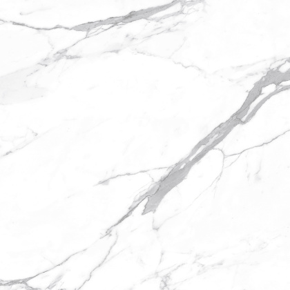 Carrara Terrific Silver Керамогранит белый 60х60 Матовый Carrara Terrific Silver Керамогранит белый 60х60 Матовый