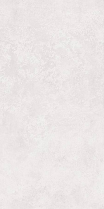 Керамогранит Intra Plum scs matt (light) 79,8х159,8 Керамогранит Intra Plum scs matt (light) 79,8х159,8