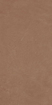 Керамогранит Argillae Terra Rect 60х120