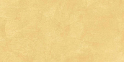 SR04 60x120х10 Непол.Рект. (Керамический гранит) SR04/NS_R10/60x120x10R/GW