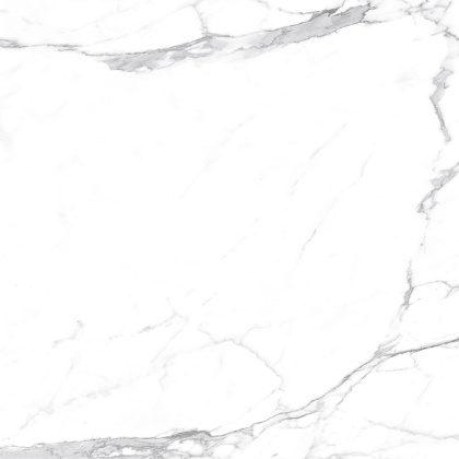Carrara Terrific Silver Керамогранит белый 60х60 Матовый Carrara Terrific Silver Керамогранит белый 60х60 Матовый