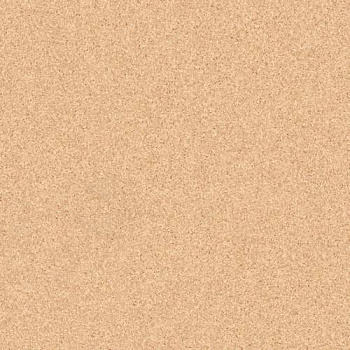 Линолеум Tarkett Primo Plus 304 Линолеум Tarkett Primo Plus 304