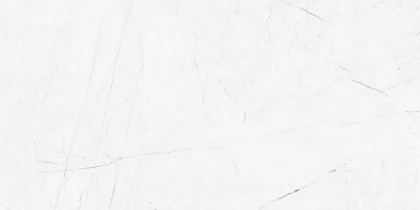 Керамогранит VS01 60x120x10 Непол.Рект. Керамогранит VS01 60x120x10 Непол.Рект.