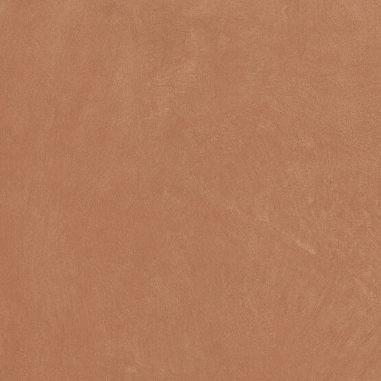 Керамогранит Anti-Slip Argillae Coral Rect 60х60