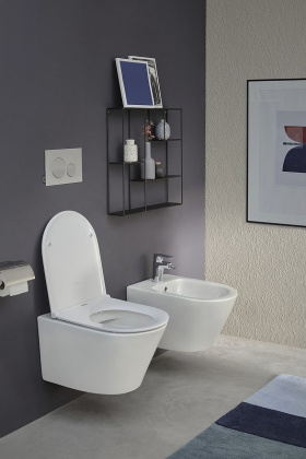 Крышка-сиденье для унитаза  E23280-00 Jacob Delafon Rodin+ белый с микролифтом, шт