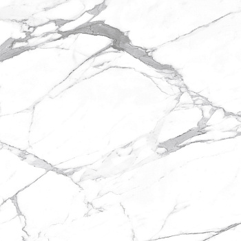 Carrara Terrific Silver Керамогранит белый 60х60 Матовый Carrara Terrific Silver Керамогранит белый 60х60 Матовый