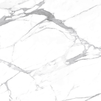 Carrara Terrific Silver Керамогранит белый 60х60 Матовый Carrara Terrific Silver Керамогранит белый 60х60 Матовый