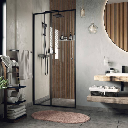 Dill 61S31 Душевая дверь Wasserkraft