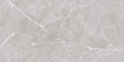 Mramor Chic Silver Керамогранит серый 60х120 Полированный