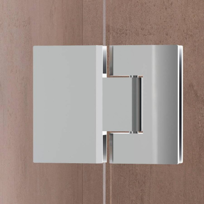 Душевая дверь 100*195 RGW HO-008 Хром/Прозрачное/8 мм (EasyClean)