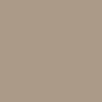 Керамогранит RW041 60х60 Непол.