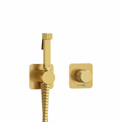 A8251.285.237.213 Встраиваемый комплект для биде со шлангом