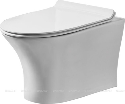 Подвесной безободковый унитаз Orange C01-100W