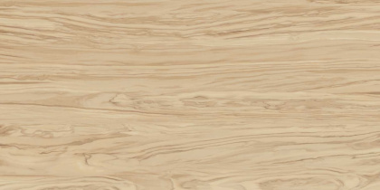 Керамогранит SG565200R Олива бежевый обрезной 60*119.5*11 (2шт\1.434м2), м2