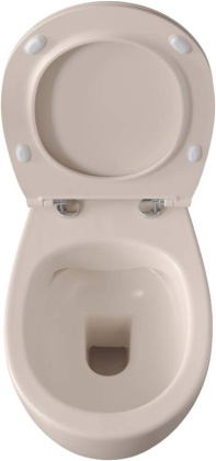 Подвесной унитаз Allen Brau Fantasy 4.11004.IV айвори