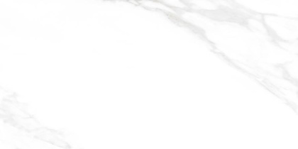 Carrara Excellent Silver Керамогранит белый 60х120 Матовый Carrara Excellent Silver Керамогранит белый 60х120 Матовый