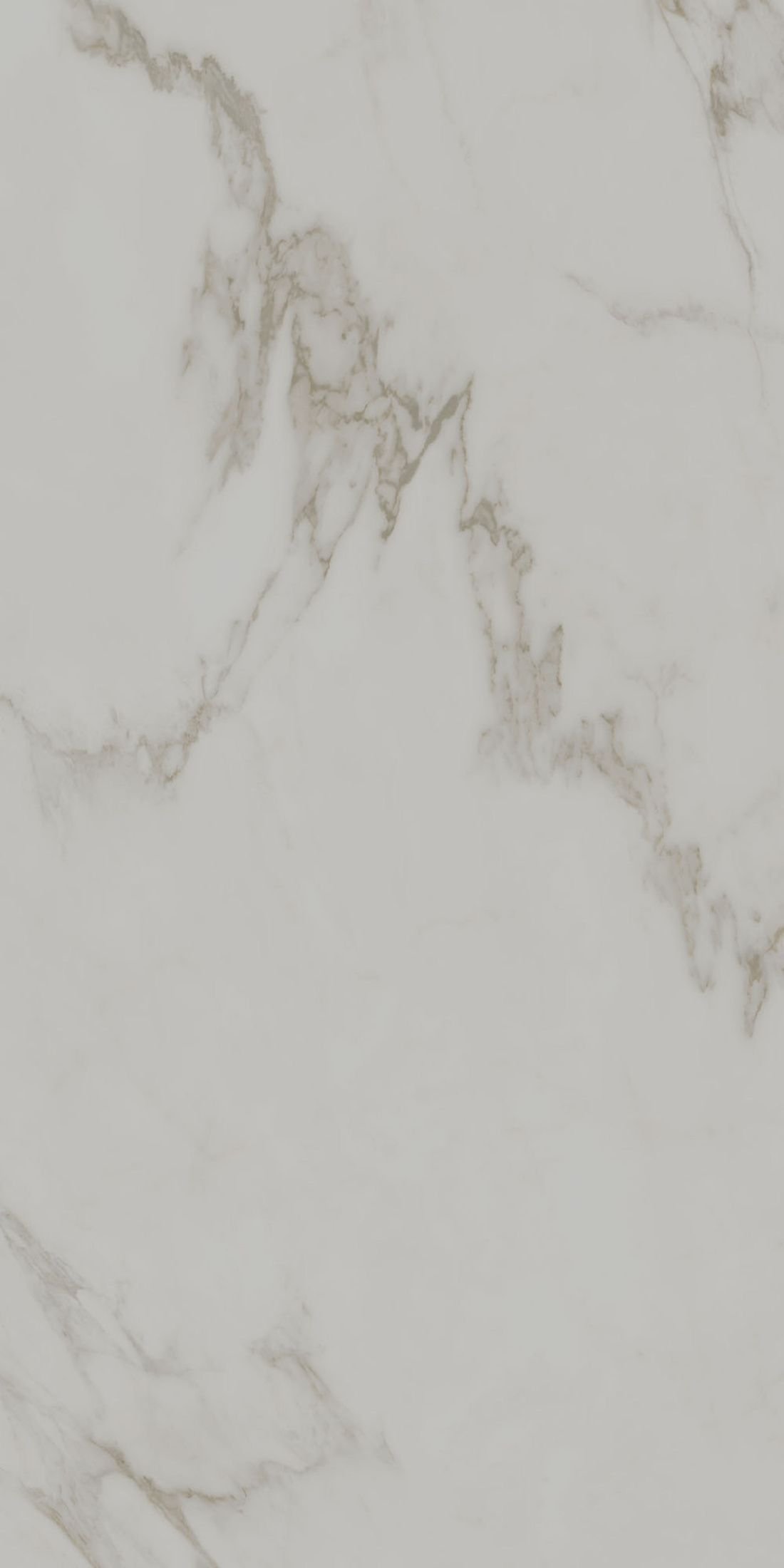 Монте Тиберио серый светлый матовый обрезной 60x119,5x0,9