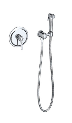 Смеситель Timo Arisa 5309/00SM chrome с гигиеническим душем