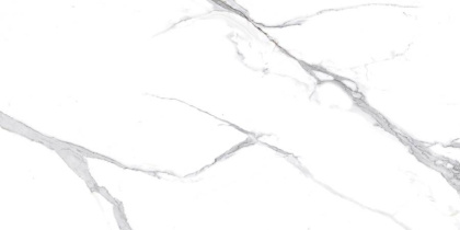 Calacatta Splendid Silver Керамогранит белый 60х120 Матовый Calacatta Splendid Silver Керамогранит белый 60х120 Матовый