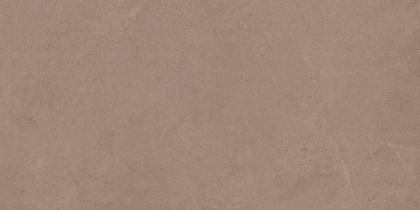GO01 60x120x10 Непол.Рект. (Керамический гранит)