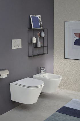 Унитаз EDY102-00 Jacob Delafon  Rodin+ белый подвесной, шт