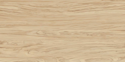 Керамогранит SG565200R Олива бежевый обрезной 60*119.5*11 (2шт\1.434м2), м2 Керамогранит SG565200R Олива бежевый обрезной 60*119.5*11 (2шт\1.434м2), м2