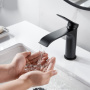 Смеситель для раковины Shevanik S41H S4101H Смеситель для раковины Shevanik S41H S4101H
