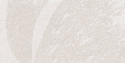 Forenza Bianco Керамогранит светло-серый 60х120 Сатинированный Карвинг Forenza Bianco Керамогранит светло-серый 60х120 Сатинированный Карвинг