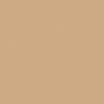 Керамогранит RW15 30x30 Непол.Рект.