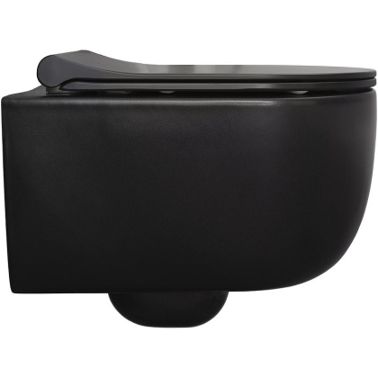 Чаша подвесного унитаза Allen Brau Priority 4.31002.31 черный матовый