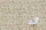60х120 CityStone Чеппо Мультиколор Матовый R10A 7Рек