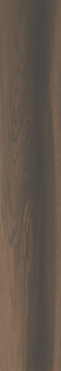 Фоссил Вуд коричневый тёмный обрезной 40x238,5x1,1 Фоссил Вуд коричневый тёмный обрезной 40x238,5x1,1