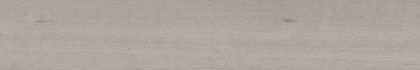 Керамогранит CW01 19,4х120х10 Непол.Рект.