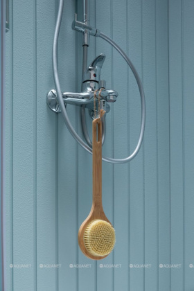 Душевая стойка Aquanet Passion R